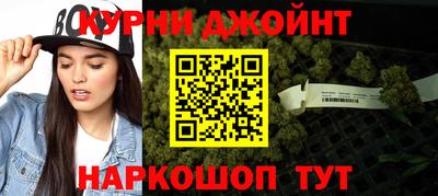 сатива Рязань
