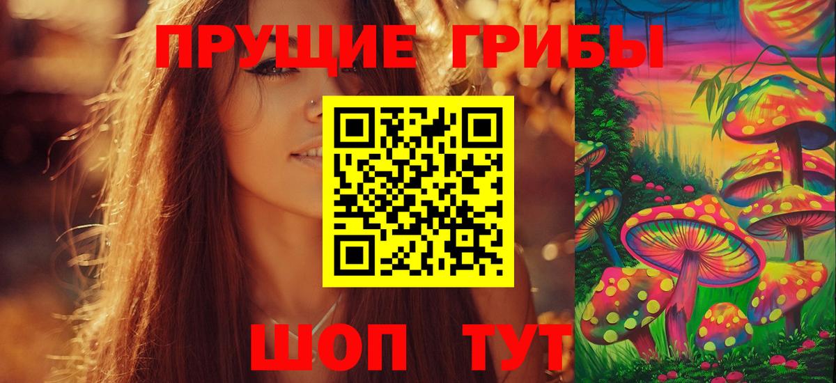 Галлюциногенные грибы ЛСД Богданович