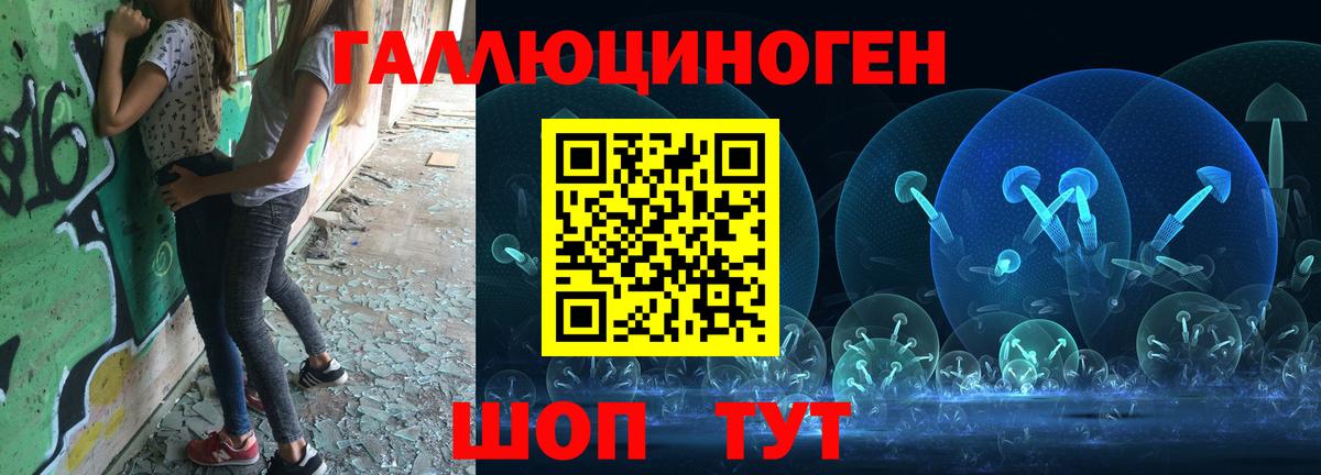 Богданович  Галлюциногенные грибы GOLDEN TEACHER  Вход с VPN 