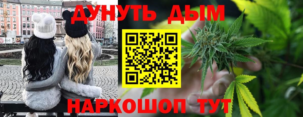 Каннабис индика Богданович